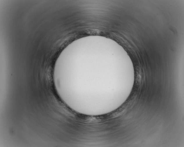 X0000111250616200907021021