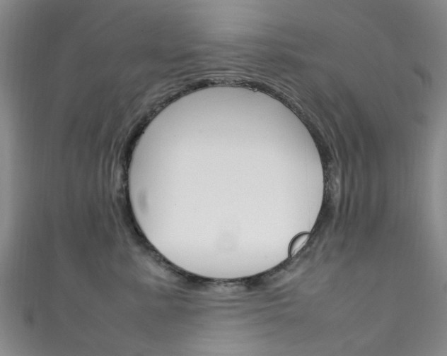 X0000111250619200907021021