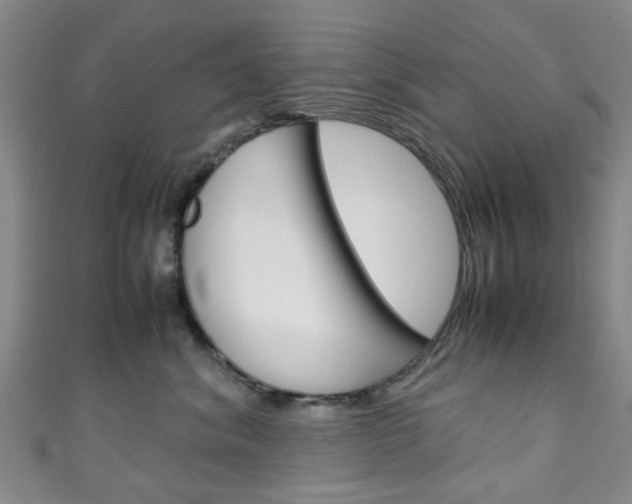 X0000111250620200907021021