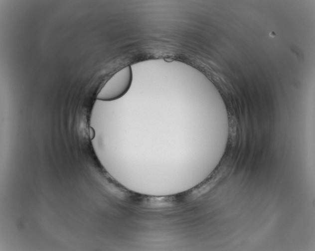 X0000111250622200907021021