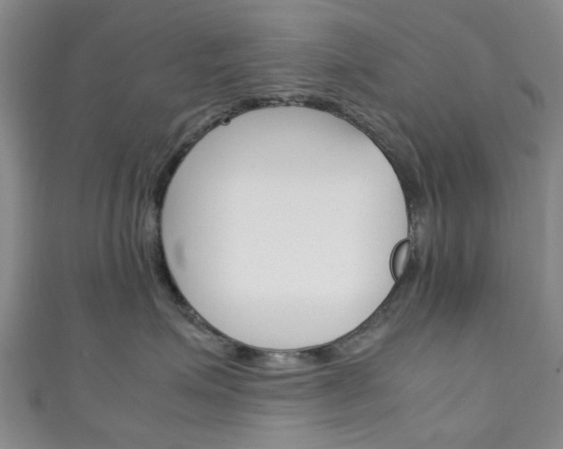 X0000111250623200907021021