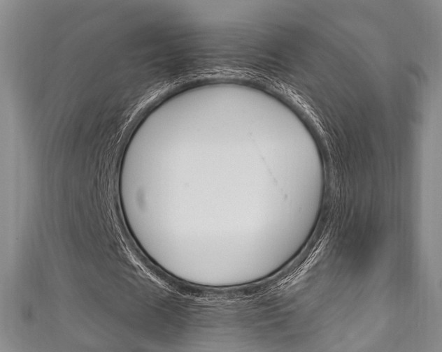 X0000111250625200907021020