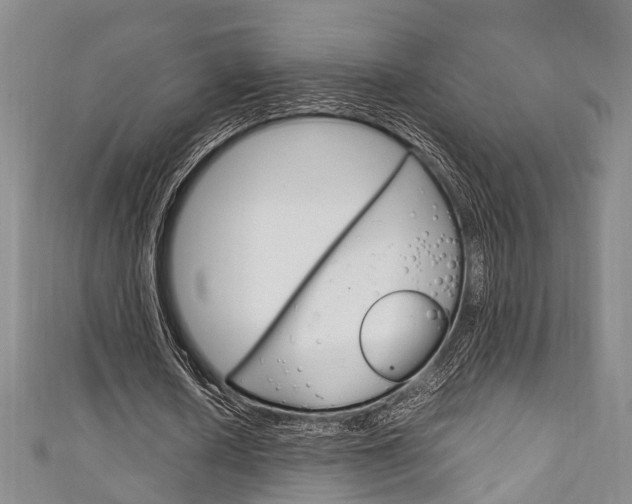 X0000111250626200907021020