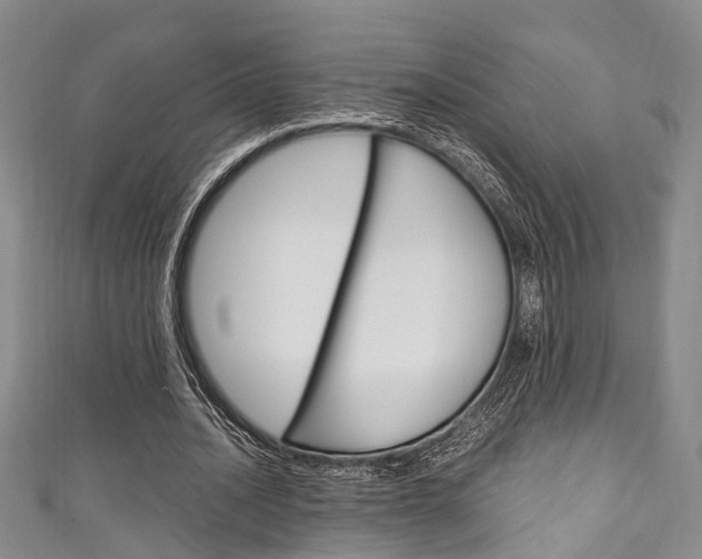X0000111250628200907021020