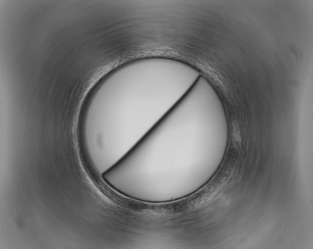X0000111250630200907021020