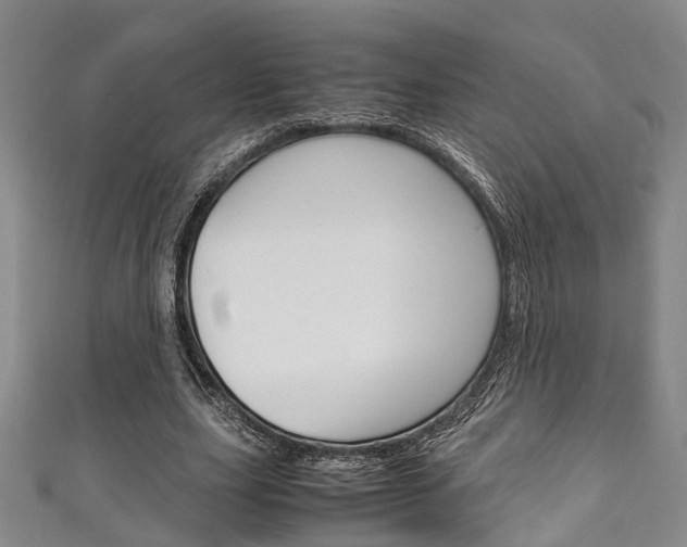 X0000111250631200907021020