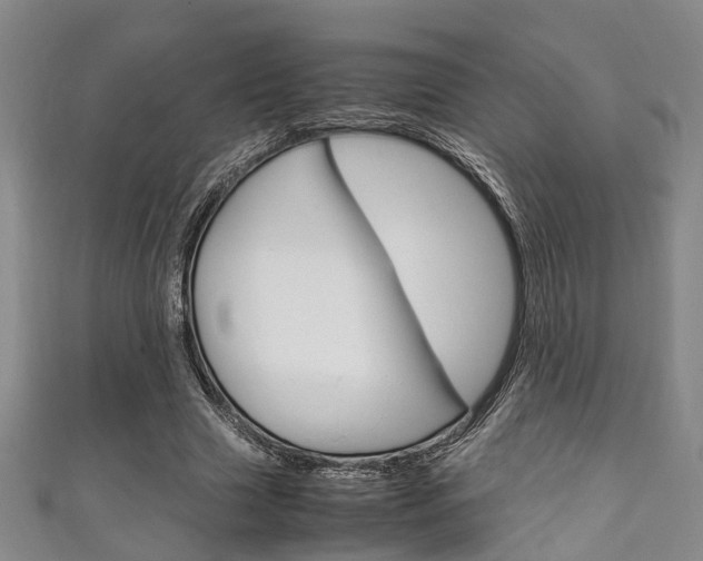 X0000111250633200907021020