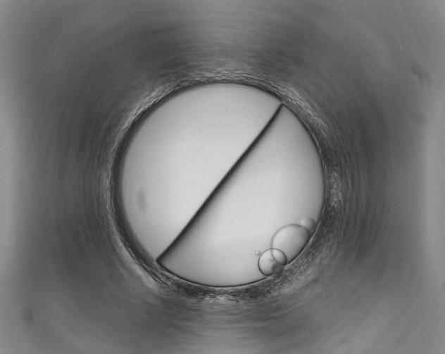 X0000111250634200907021020