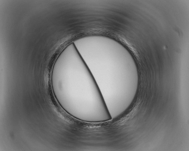 X0000111250637200907021020