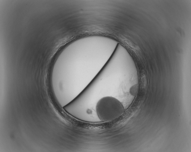 X0000111250638200907021020