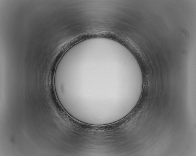 X0000111250640200907021020