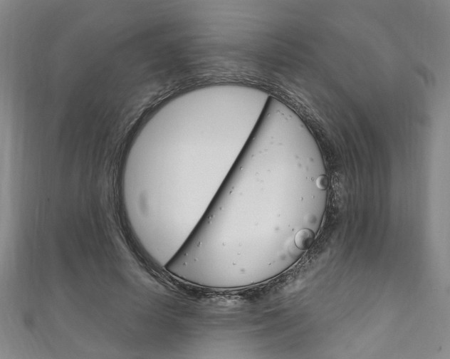 X0000111250642200907021020