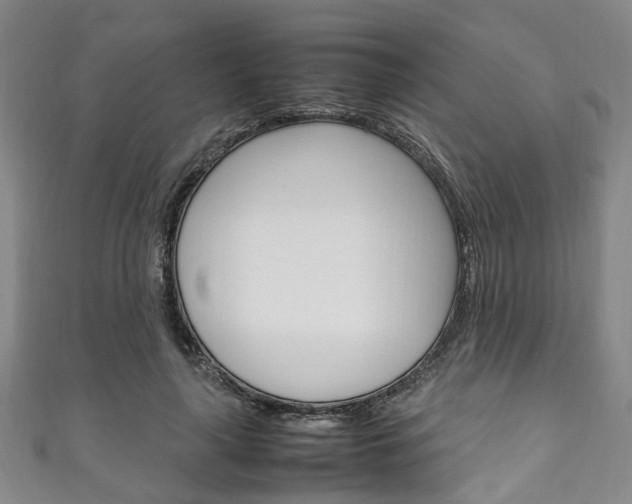 X0000111250643200907021021