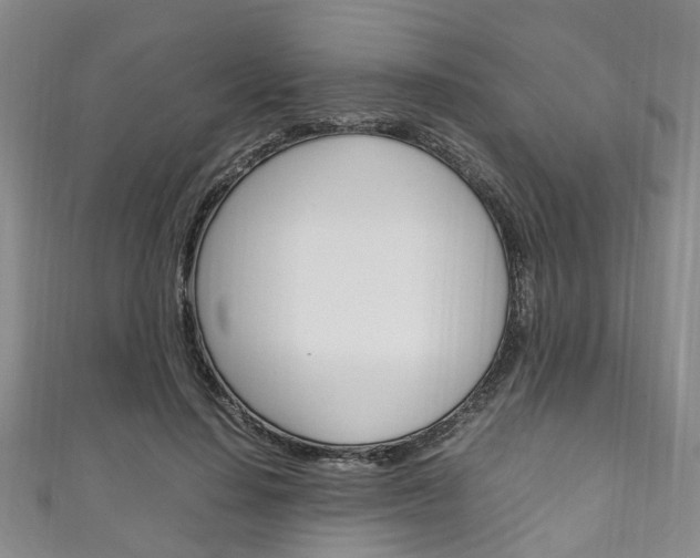 X0000111250644200907021021