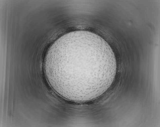 X0000111250646200907021021