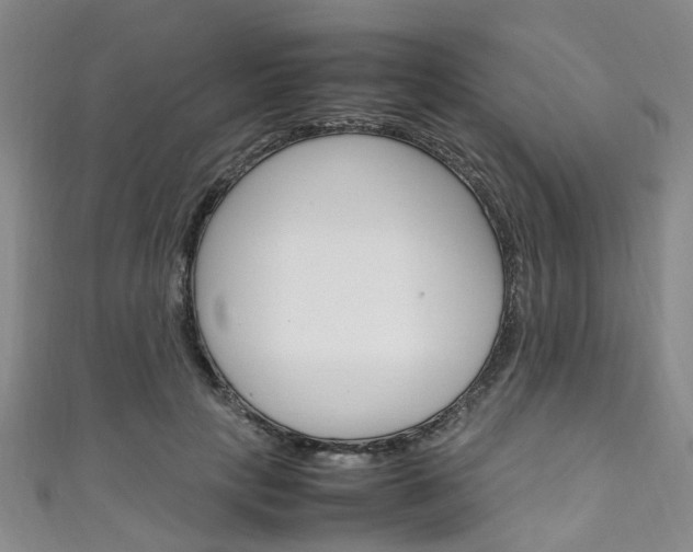 X0000111250649200907021021