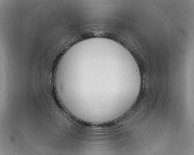 X0000111250650200907021021