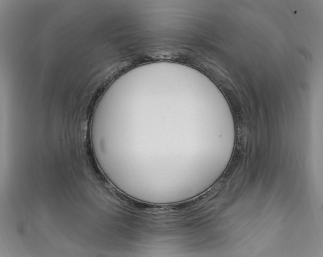 X0000111250652200907021021