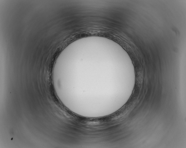 X0000111250653200907021021