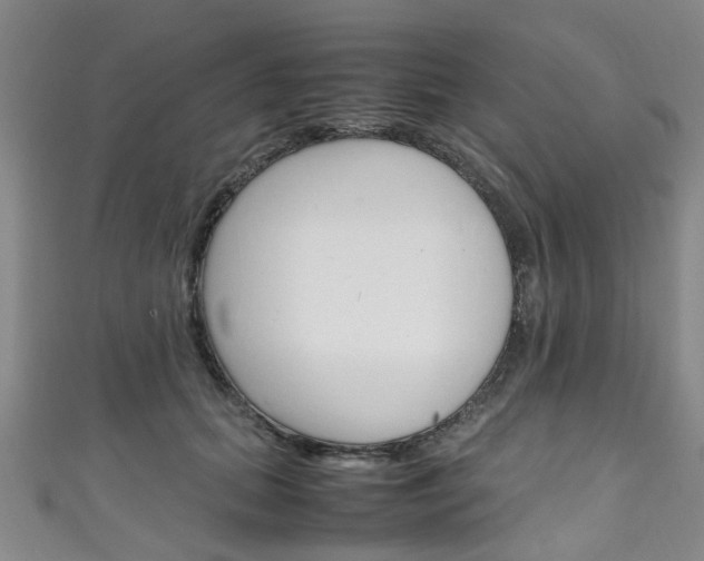 X0000111250655200907021021