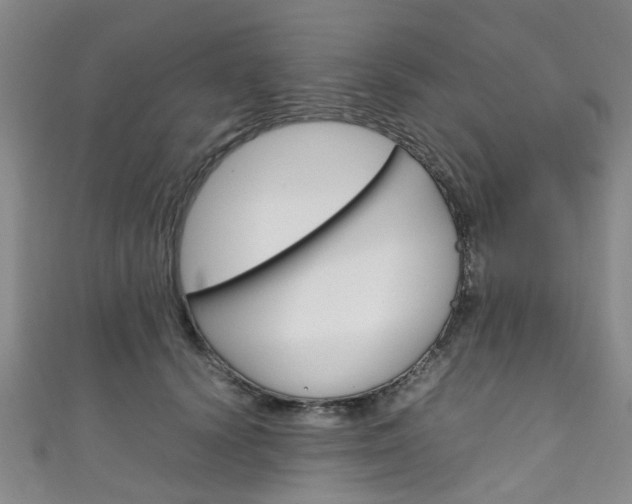 X0000111250656200907021021