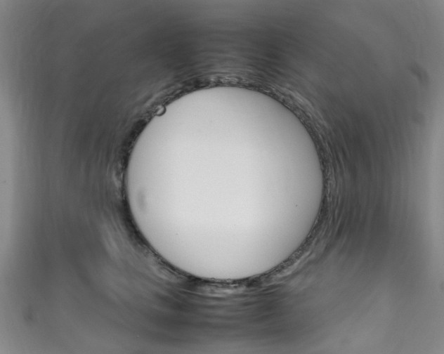 X0000111250661200907021021