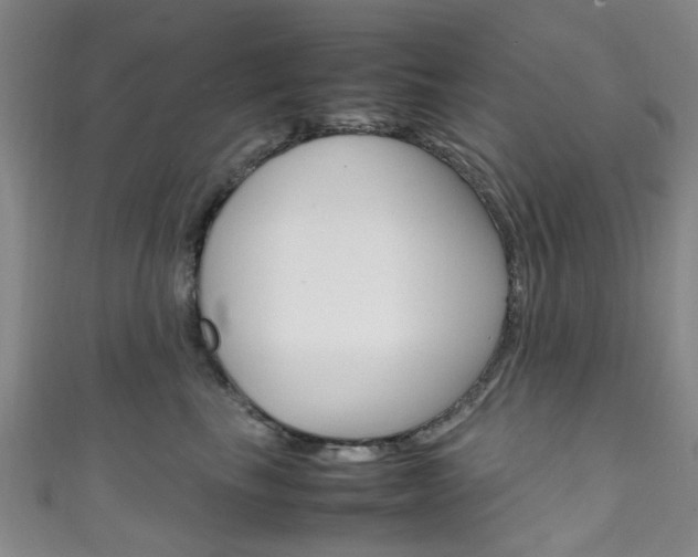 X0000111250665200907021021