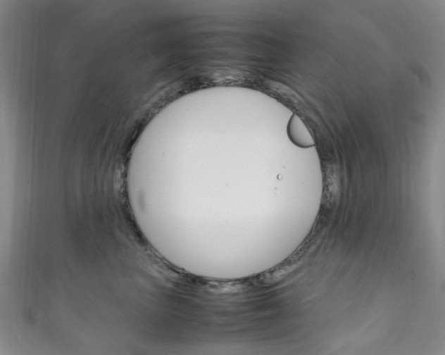 X0000111250667200907021021