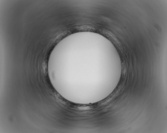 X0000111250669200907021021