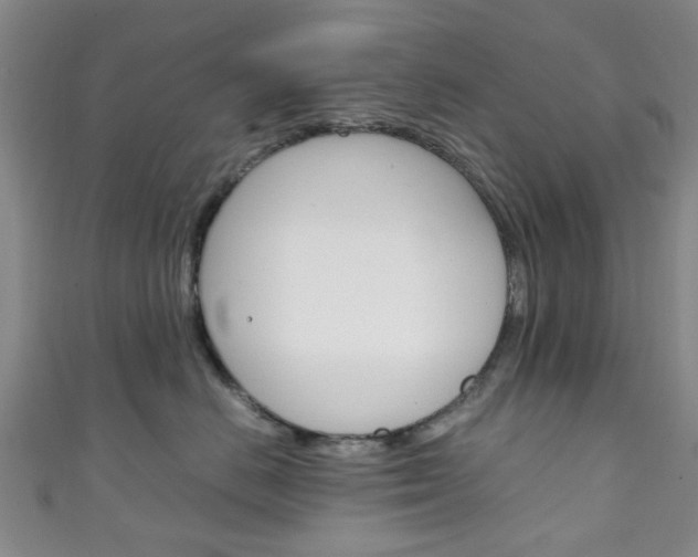 X0000111250670200907021021