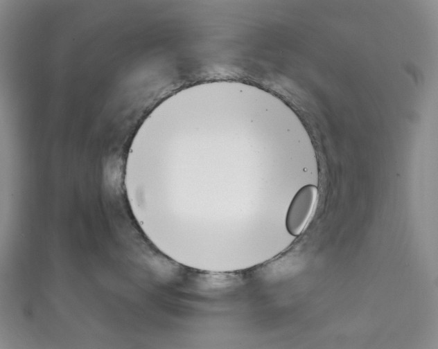 X0000111250672200907021021