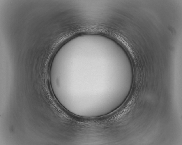 X0000111250673200907021020