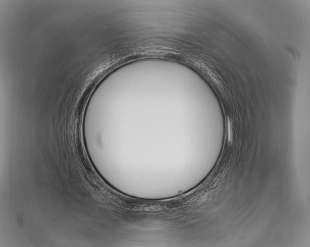 X0000111250675200907021020