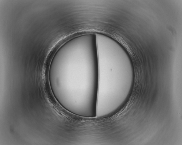 X0000111250676200907021020