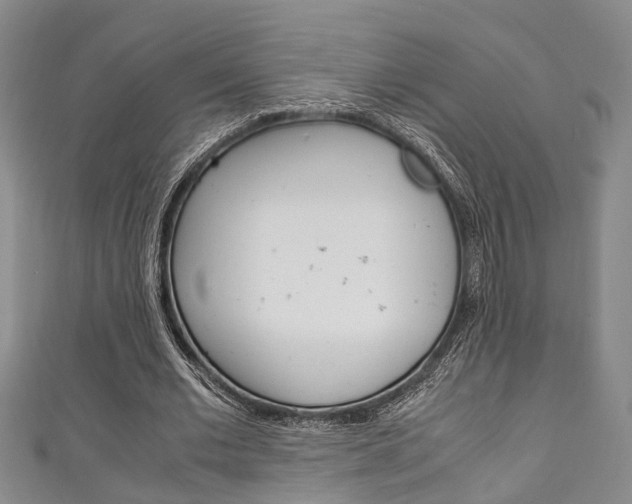 X0000111250677200907021020