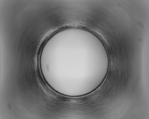 X0000111250678200907021020