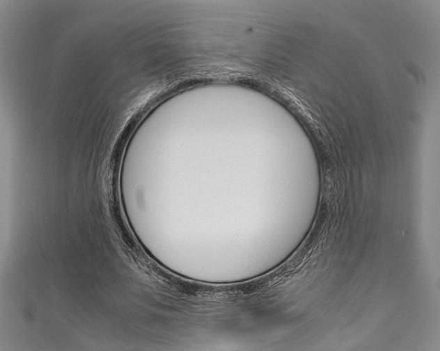 X0000111250679200907021020