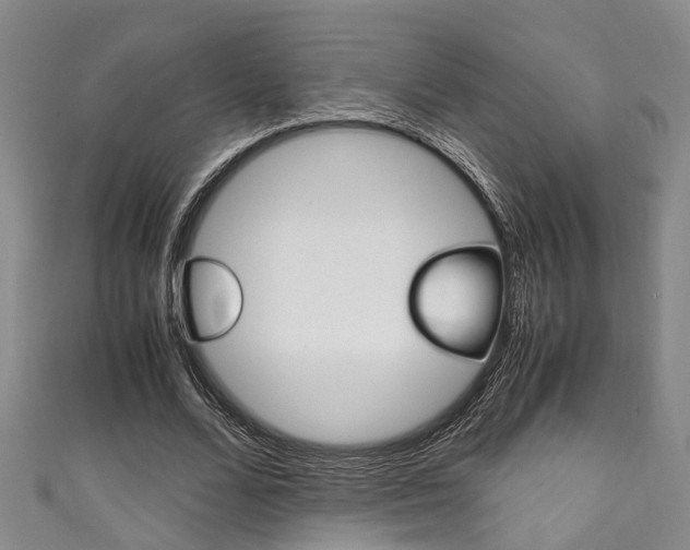 X0000111250680200907021020