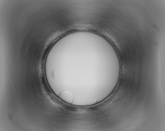 X0000111250682200907021020