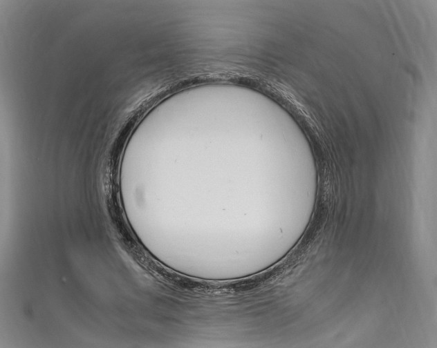 X0000111250683200907021020