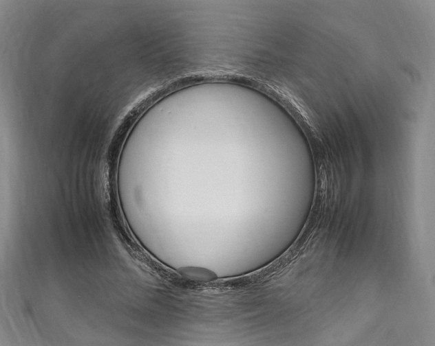 X0000111250684200907021020