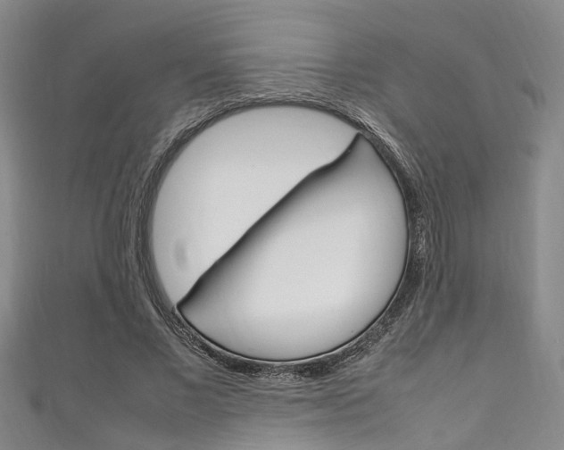 X0000111250685200907021020