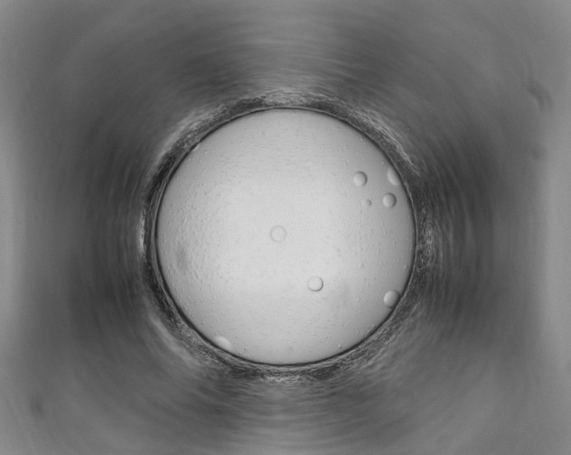 X0000111250686200907021020