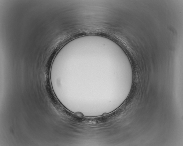 X0000111250687200907021020