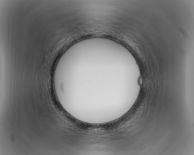 X0000111250689200907021020