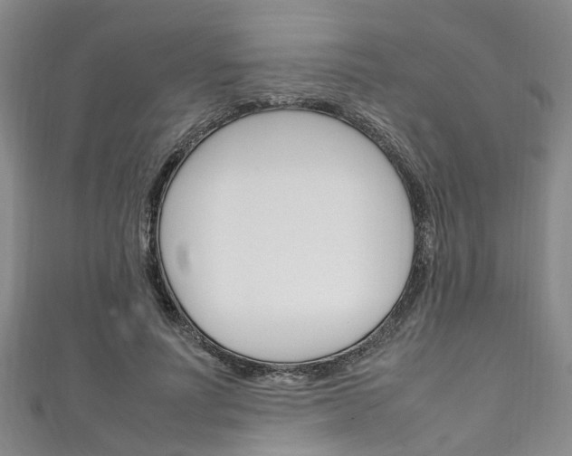 X0000111250691200907021020