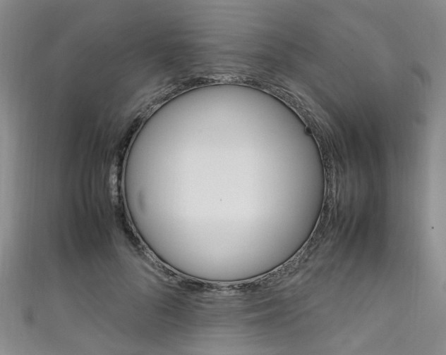 X0000111250696200907021020