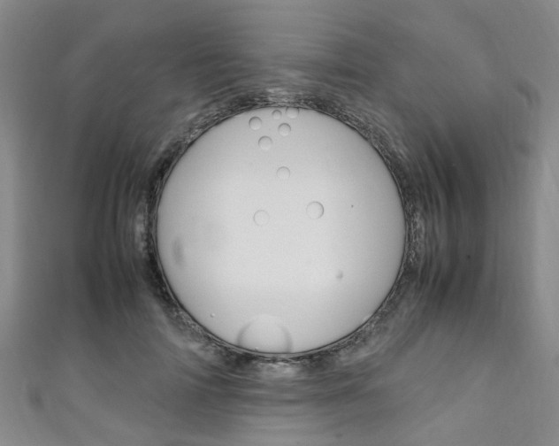 X0000111250698200907021020
