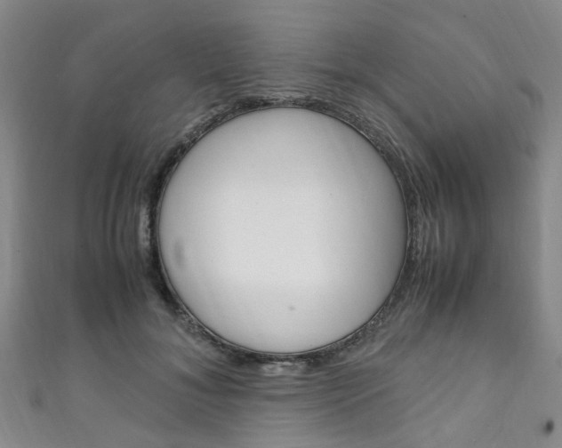 X0000111250700200907021020