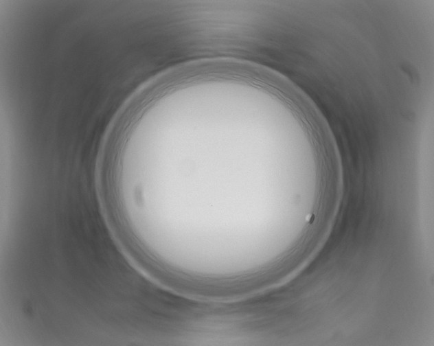X0000111250701200907021020